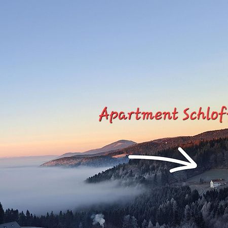 Apartment Schloffer Weizi járás Kültér fotó